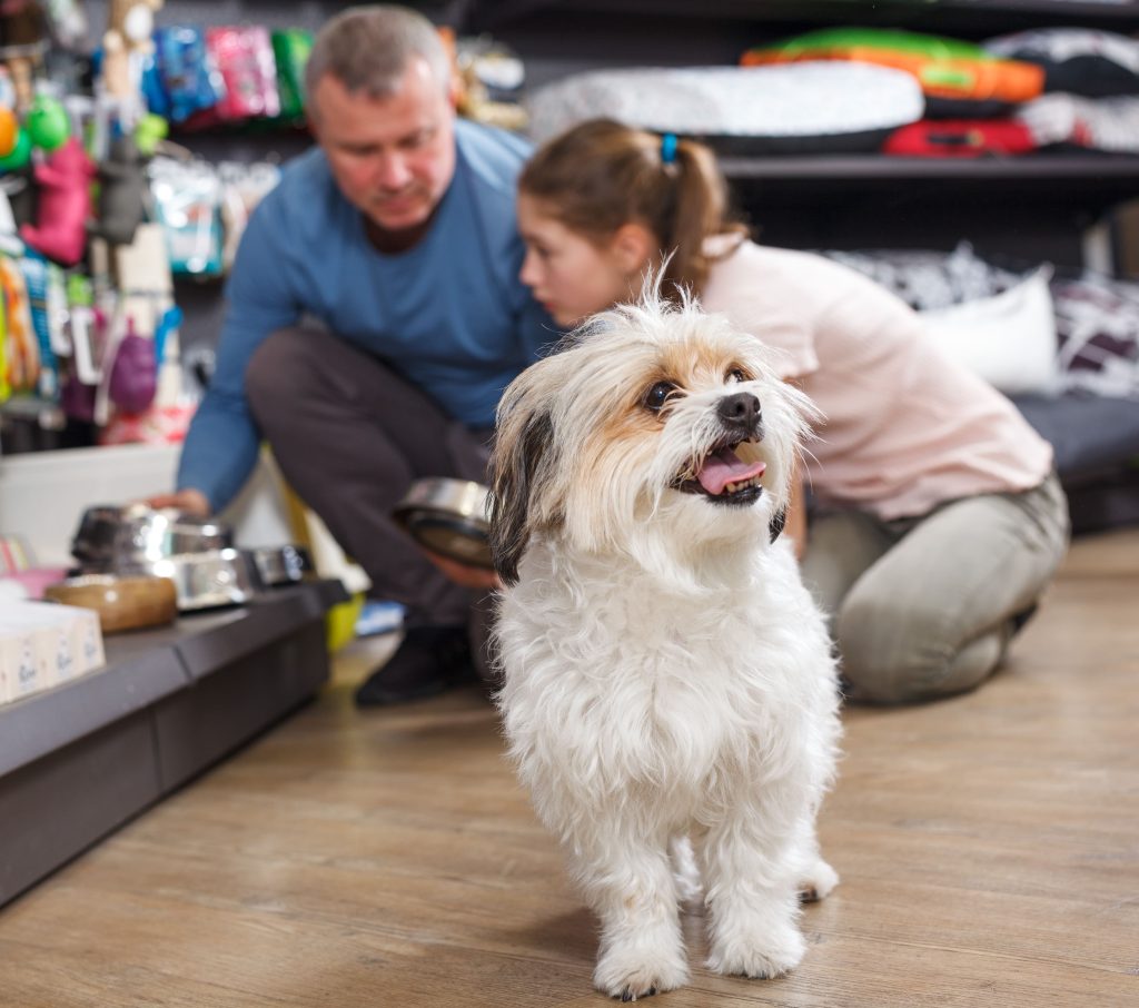 Cão em primeiro plano olhando para o pet shop, e pai e filha olhando os produtos do pet shop