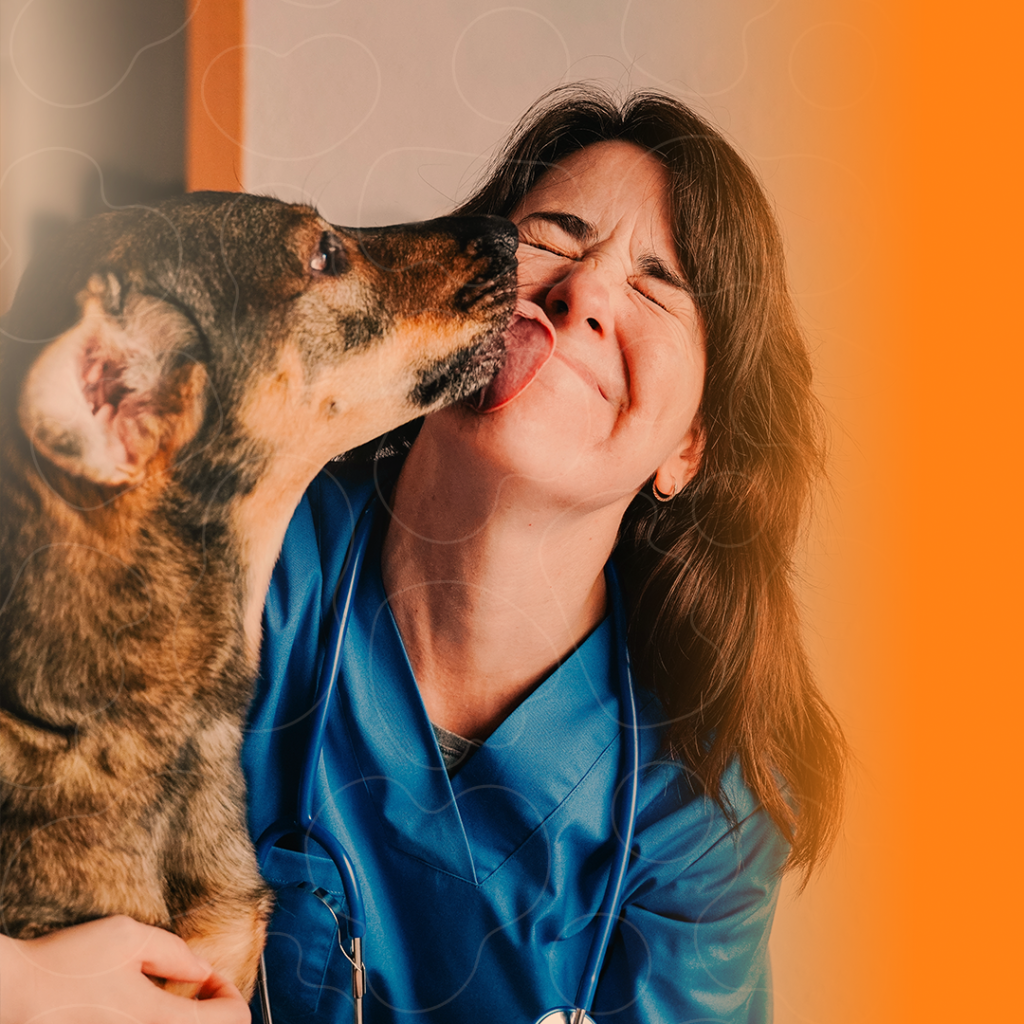 cão visitando o médico-veterinário