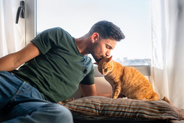 Tutor beijando gato laranja