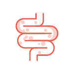 Saúde Intestinal