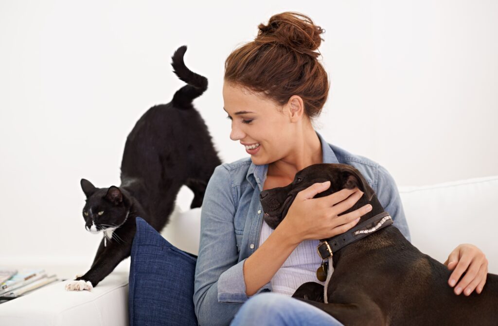 Gato, tutora e cão no sofá