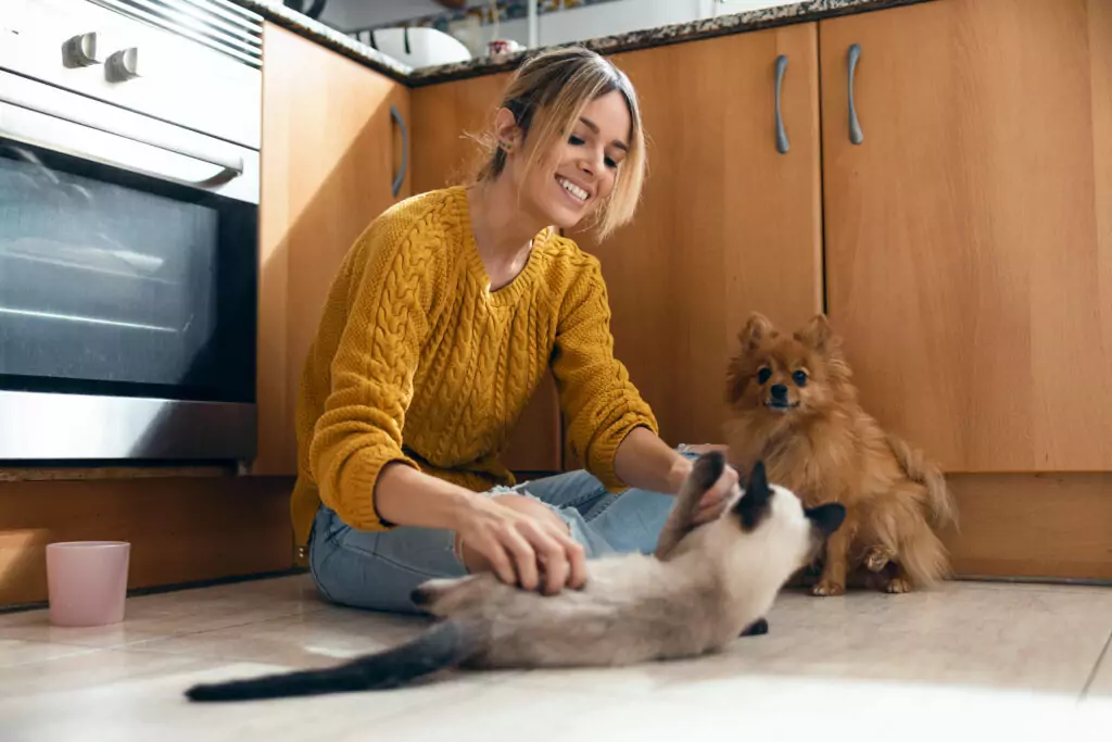 Tutora brincando com seu gato e cão na cozinha
