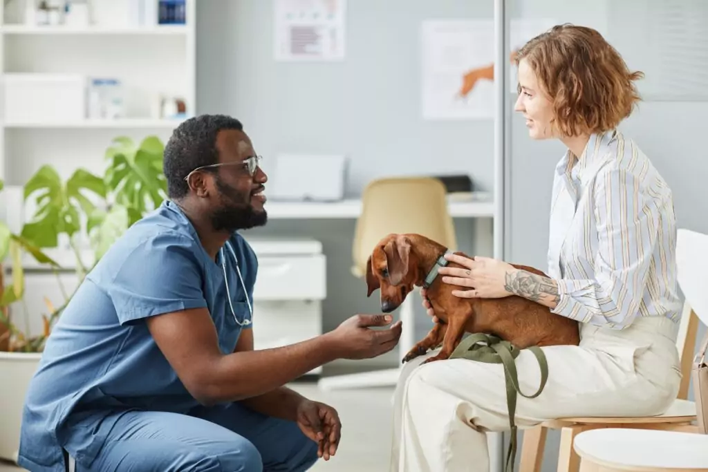 Tutora com seu cão no colo enquanto conversa com médico-veterinário