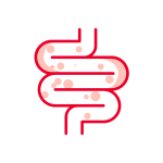 Saúde Intestinal 