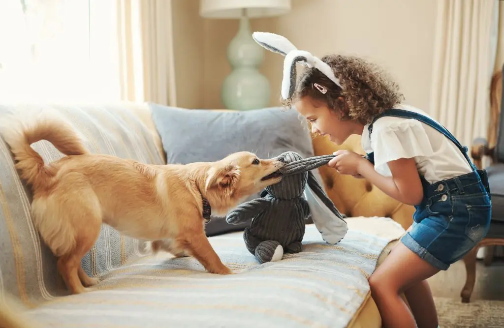 Criança brincando com filhote de cão