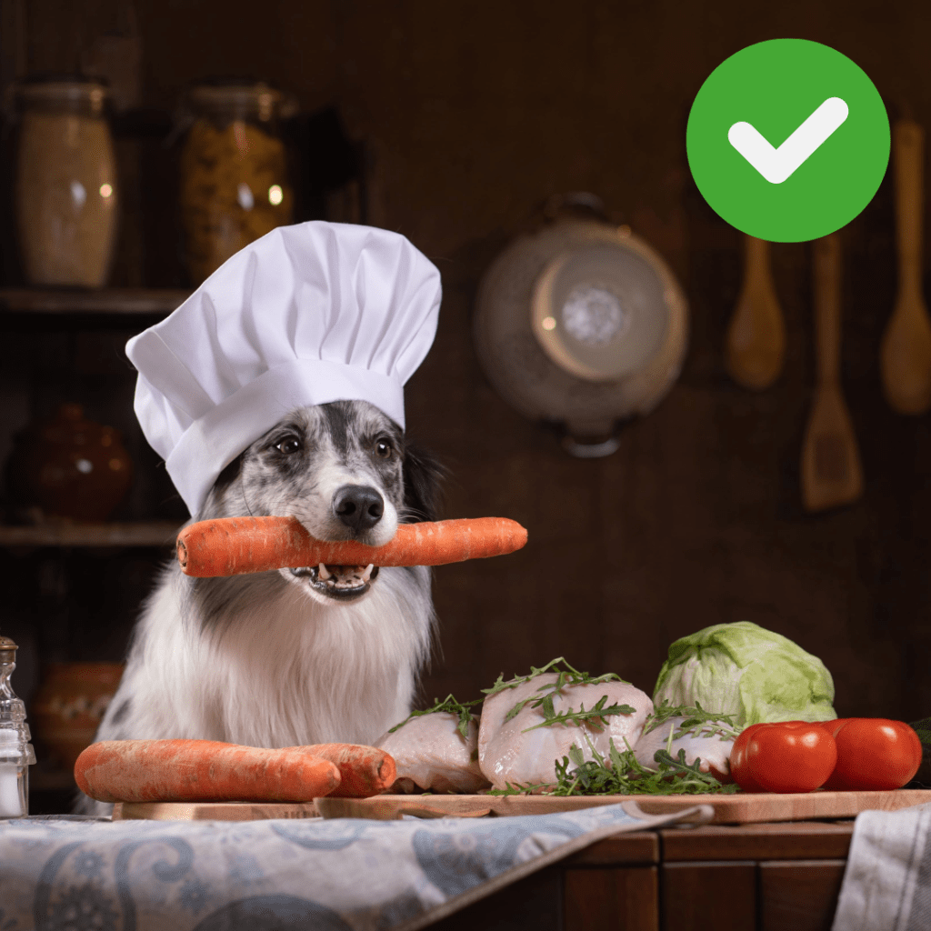 cão chef de cozinha segurando cenoura com a boca
