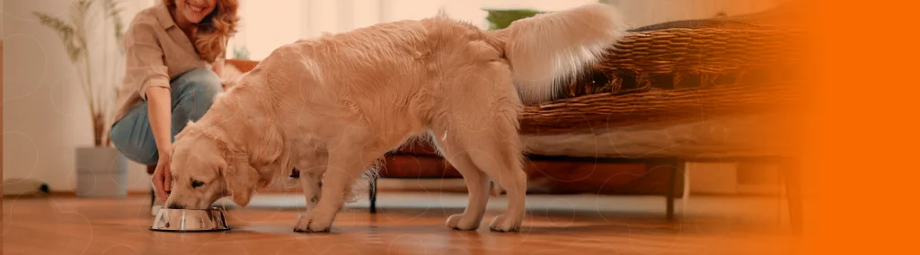 Tutora dando comida para seu cão em comedouro de alumínio