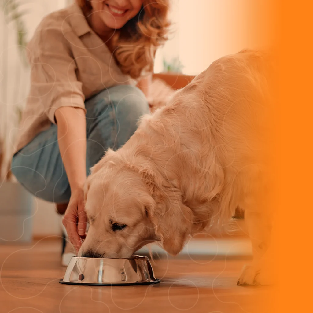 Tutora dando comida para seu cão em comedouro de alumínio