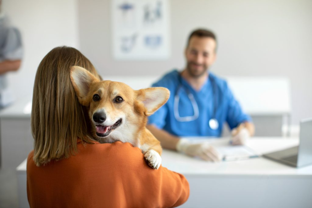 Tutora e seu cão fazendo consulta no médico-veterinário