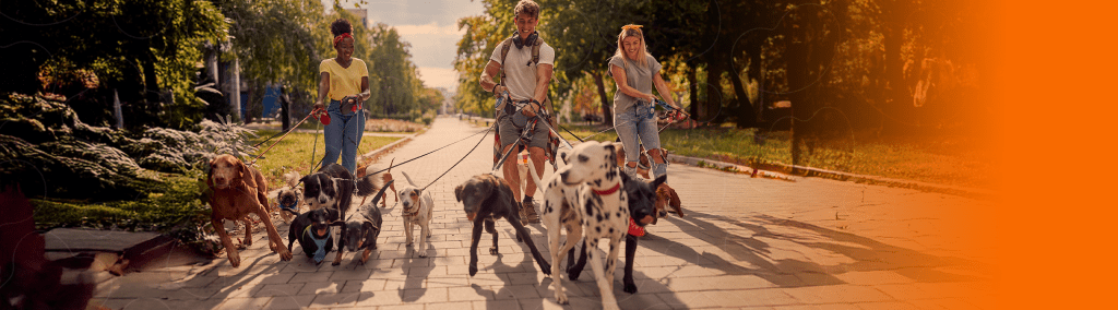Tutores passeando com pets de vários portes e idades