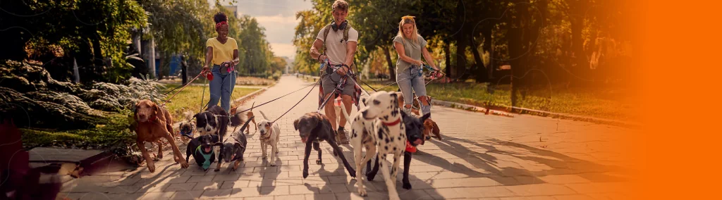 Tutores passeando com pets de vários portes e idades