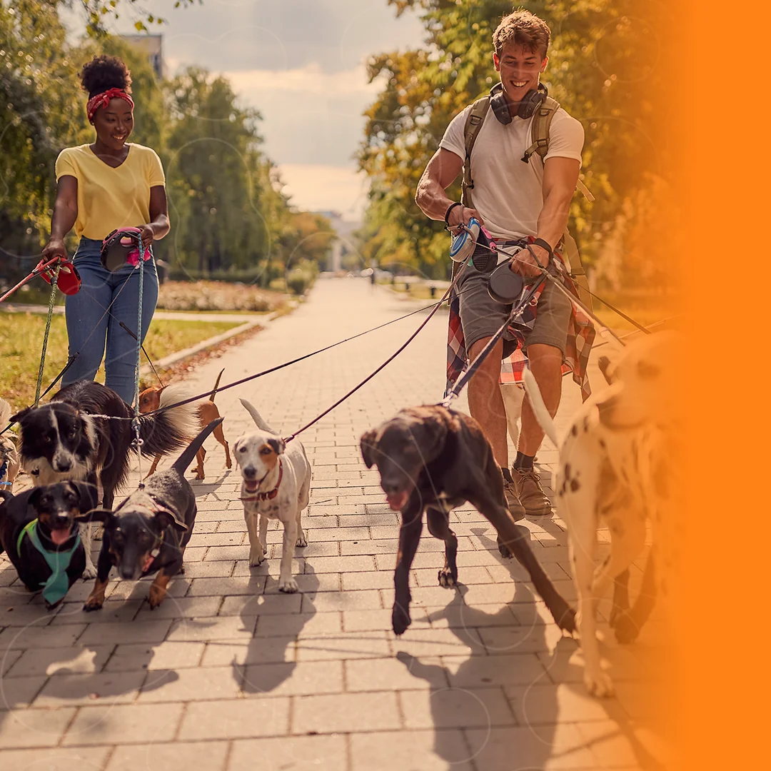 Tutores passeando com pets de vários portes e idades