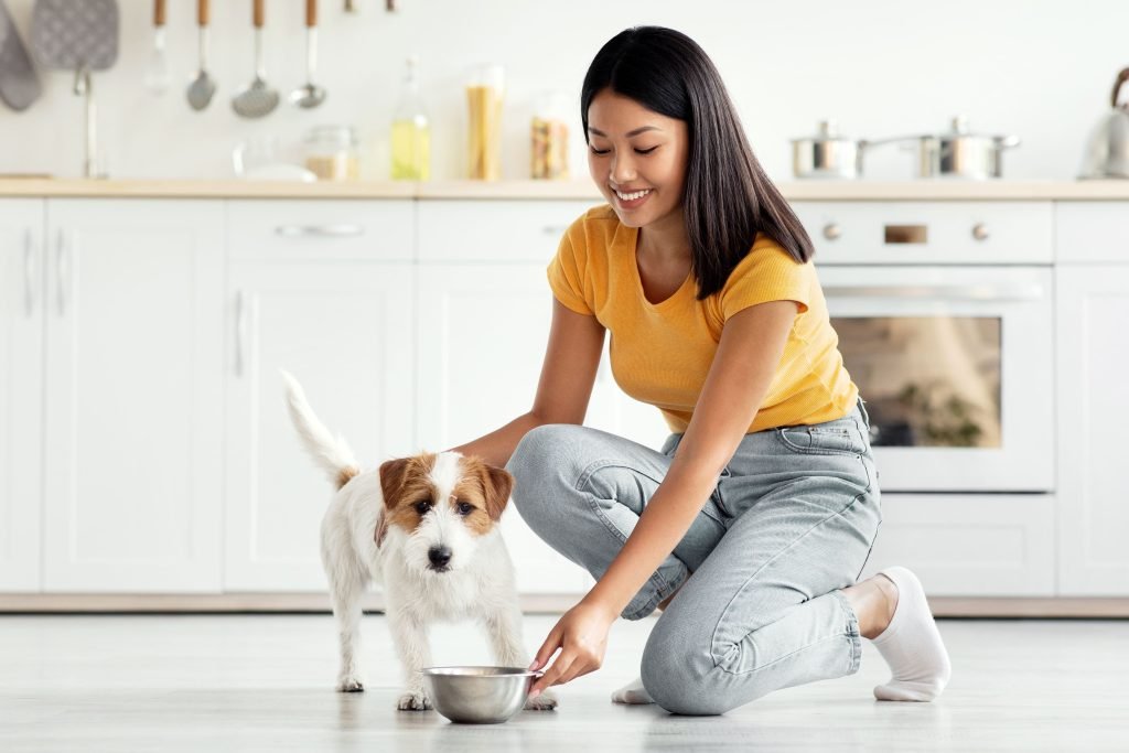 Tutora dando ração para se cão