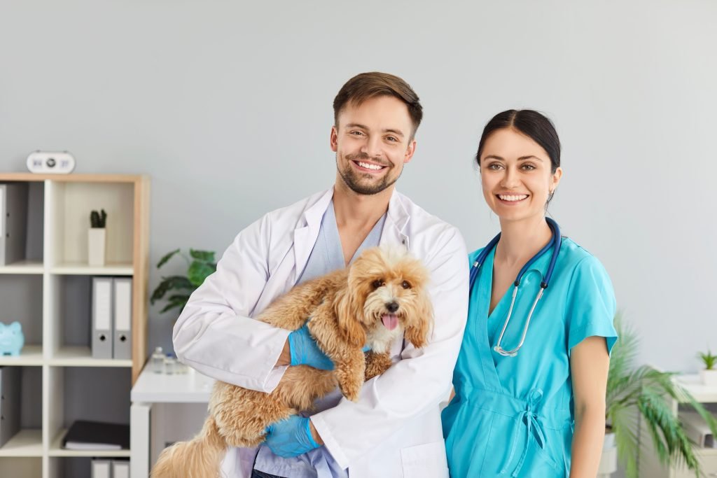 Veterinários com cão em consultório