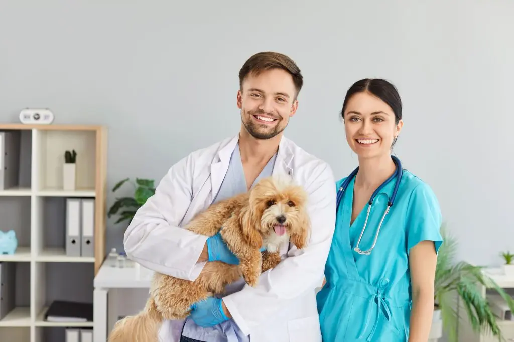 Veterinários com cão em consultório