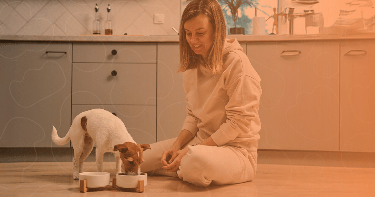 Tutora alimentando seu cão