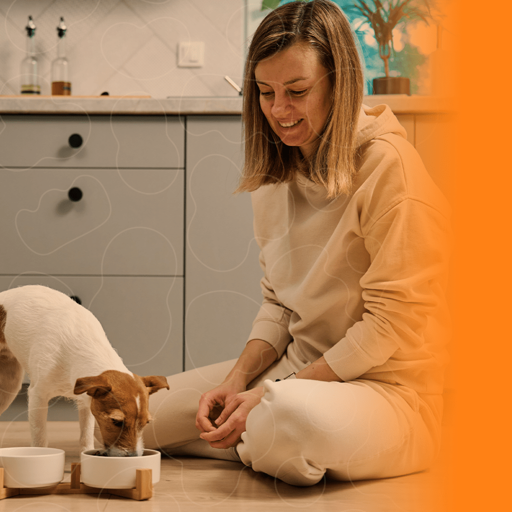 Tutora alimentando seu cão