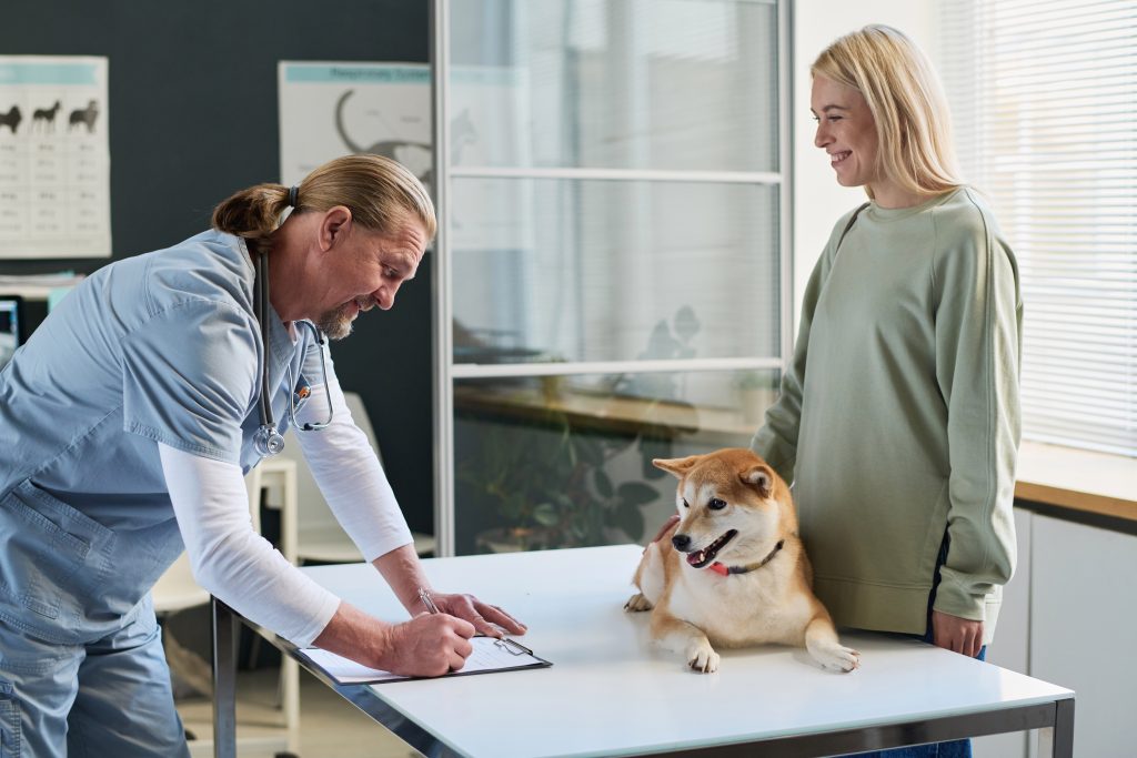 Cachorro Shiba deitado em consultório de médico-veterinário com tutora ao lado