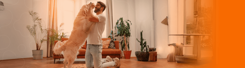 Cachorro Golden brincando com seu tutor em casa