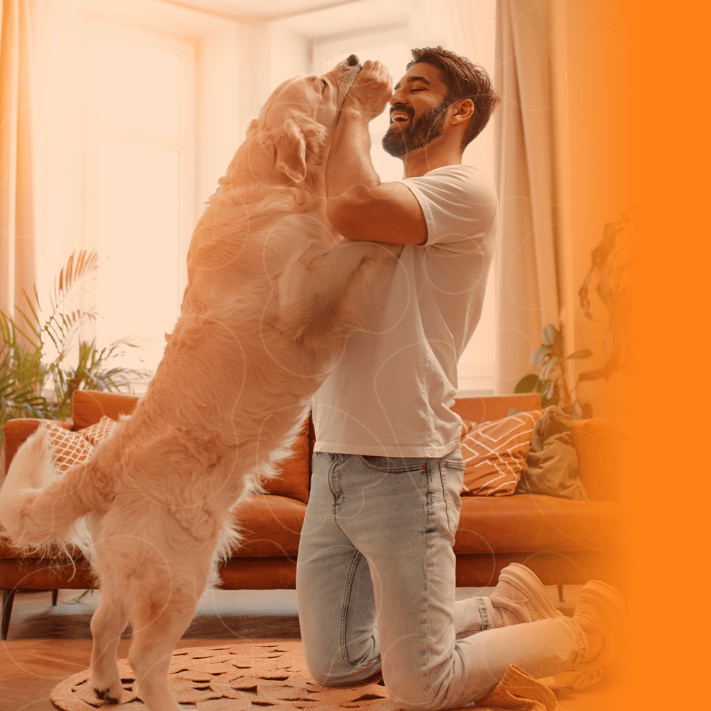 Cachorro Golden brincando com seu tutor em casa