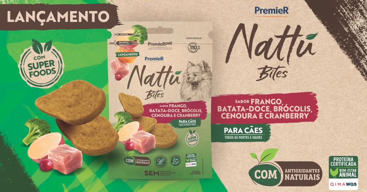 PremieR Nattu Bites
