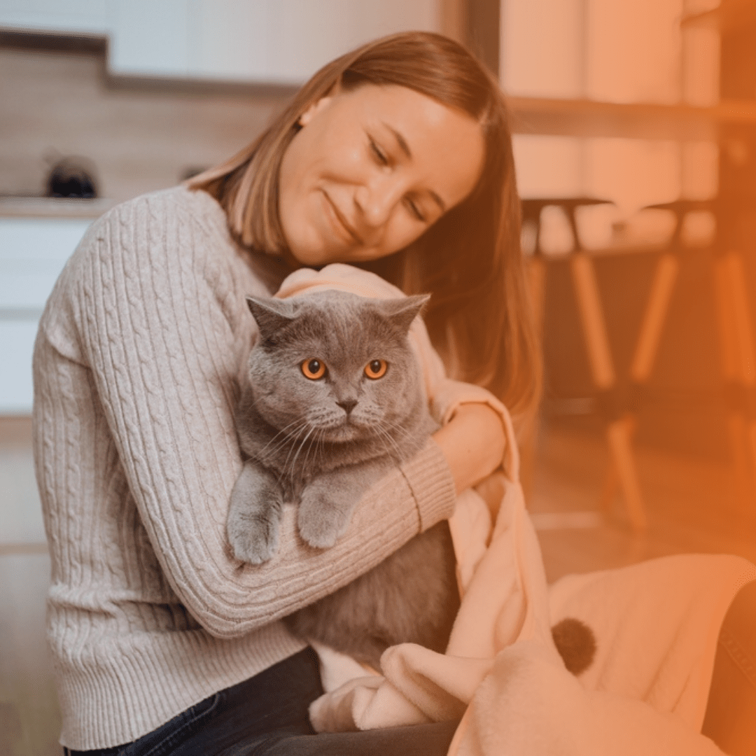 Tutora abraçando gato cinza