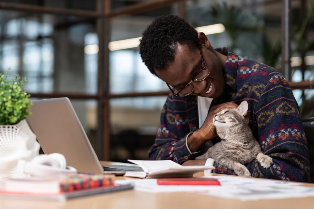 Tutor fazendo carinho em seu gato