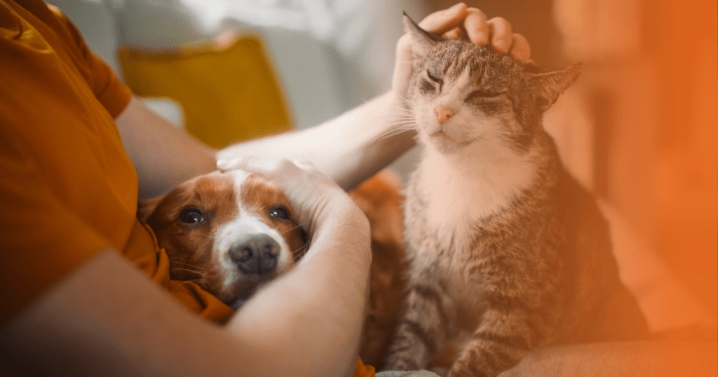 Tutora fazendo carinho em seu gato e cachorro