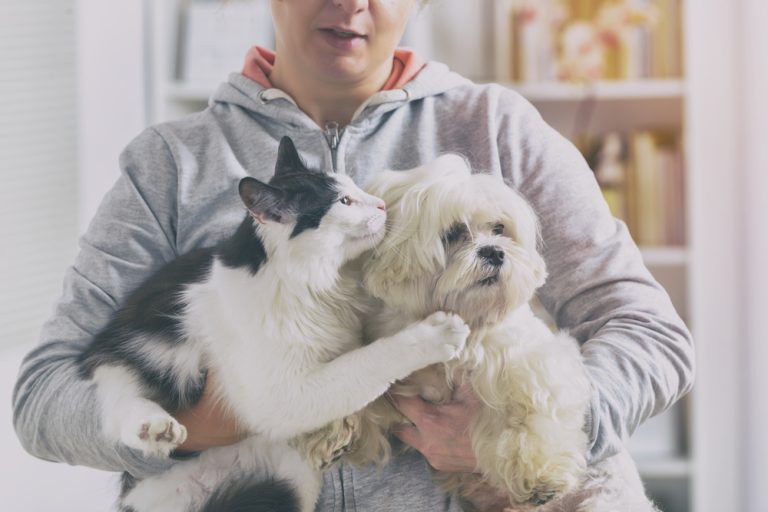 Tutor segurando seu gato e cachorro no colo