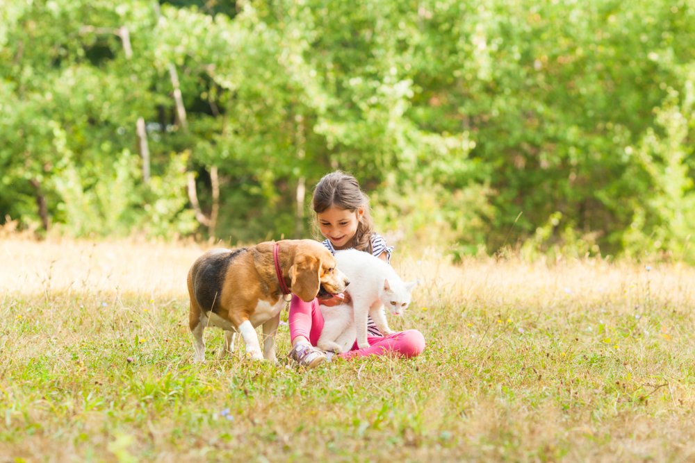Menina no campo com cão e gato