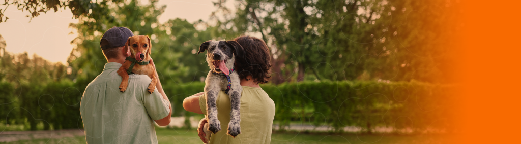 Homem e mulher segurando um cão cada