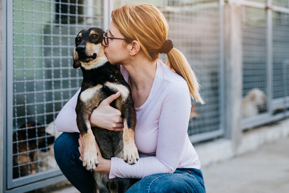 Mulher beijando e abraçando cão