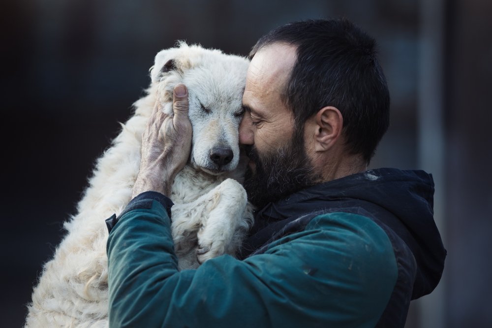 Tutor abraçando cão branco