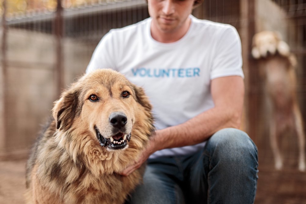 Voluntário com cão