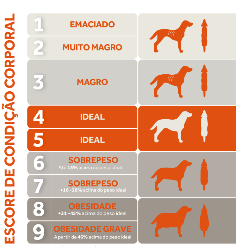 Ilustrações de Escore de Condição Corporal de cães