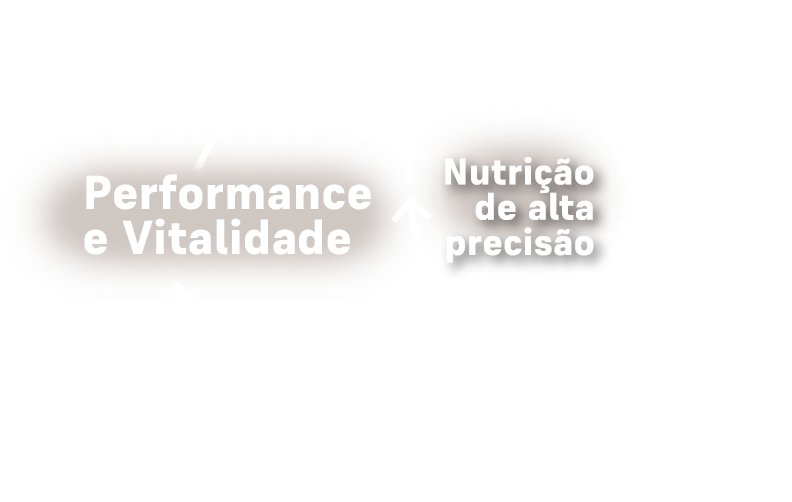 Performance e vitalidade PremieR