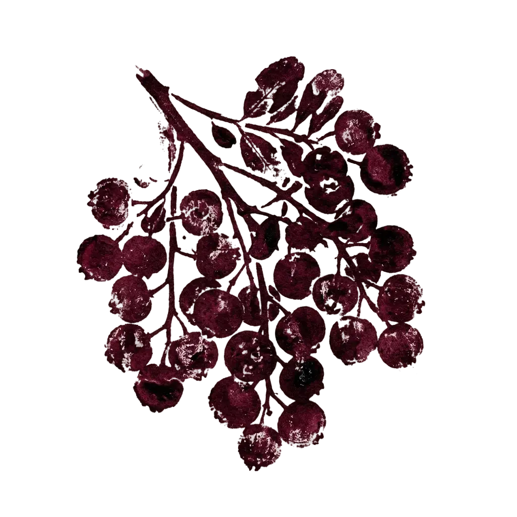 Cranberry