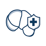 Perfil Hepatoprotetor