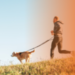 Canicross: como correr com seu cachorro com segurança e diversão