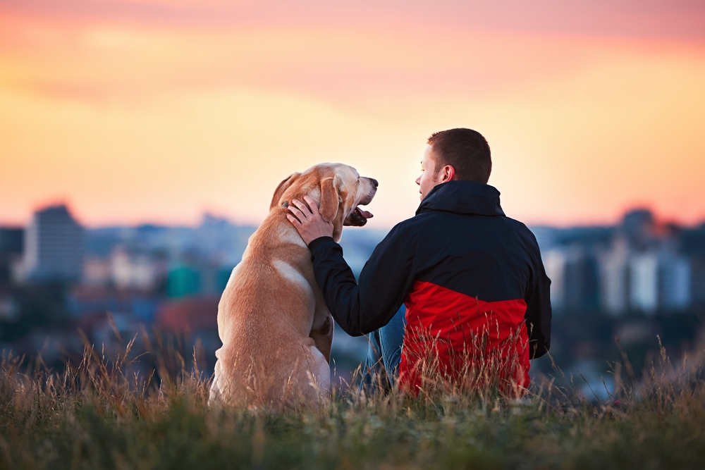 Tutor e cão juntos no pôr do sol