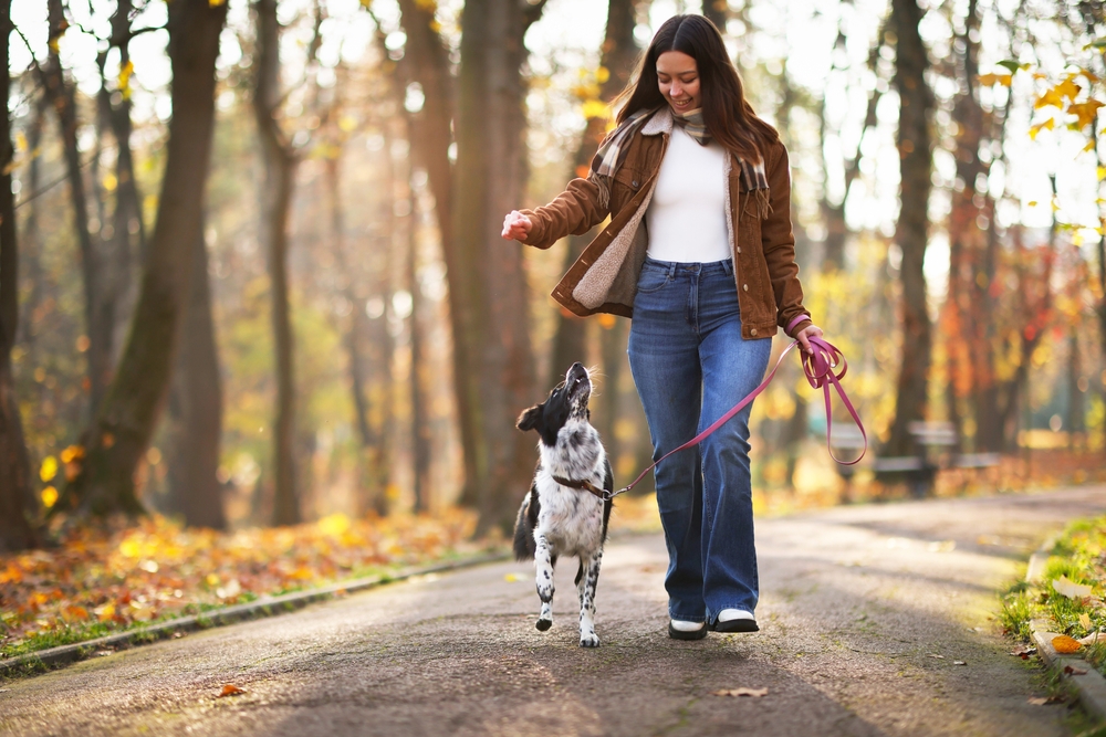 Tutora caminhando junto com seu cão